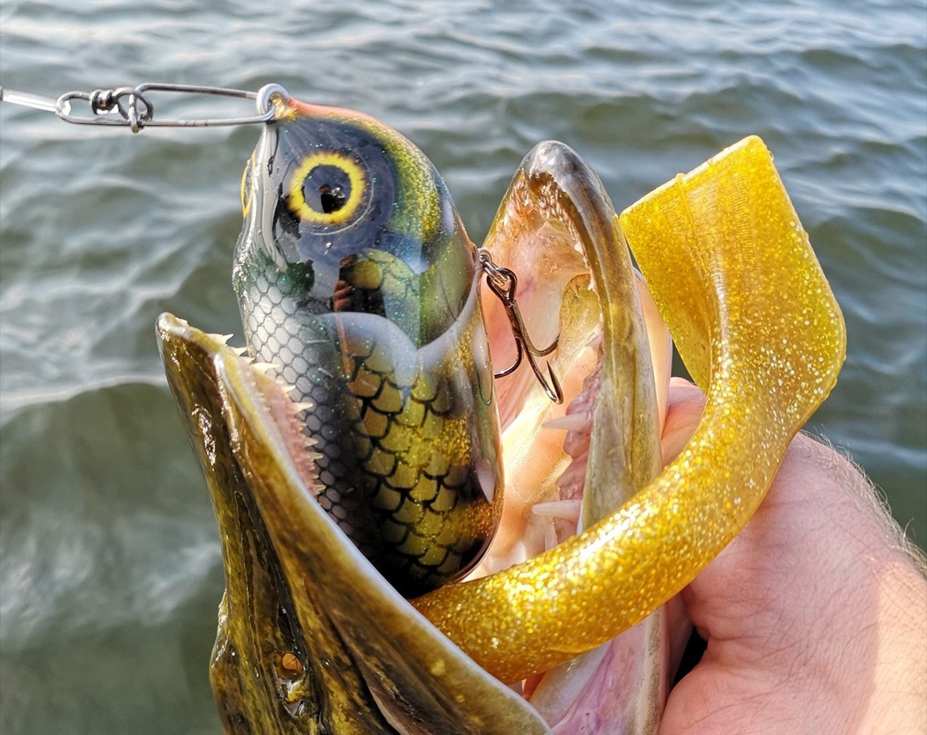 Esox Inc Titan